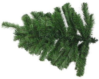 Christmas tree branch