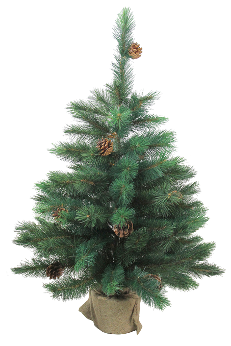 Royal Oregon Pine