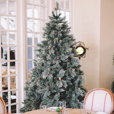 Christmas Tree Guide