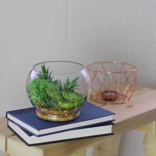 Plant in Glass Vase