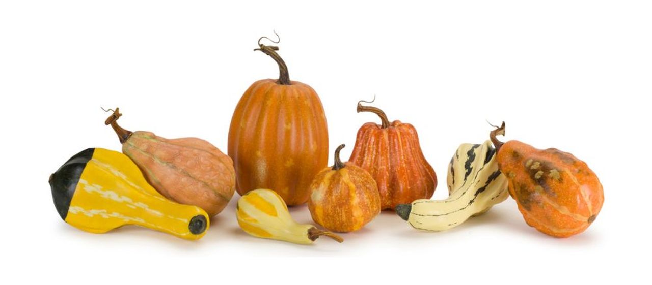 Decorative Thanksgiving Gourds