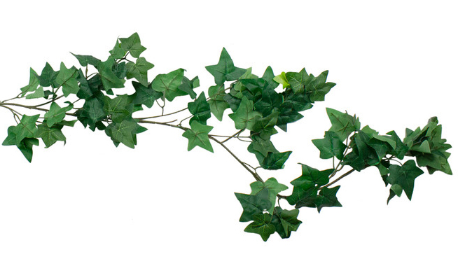 green ivy leaf garland