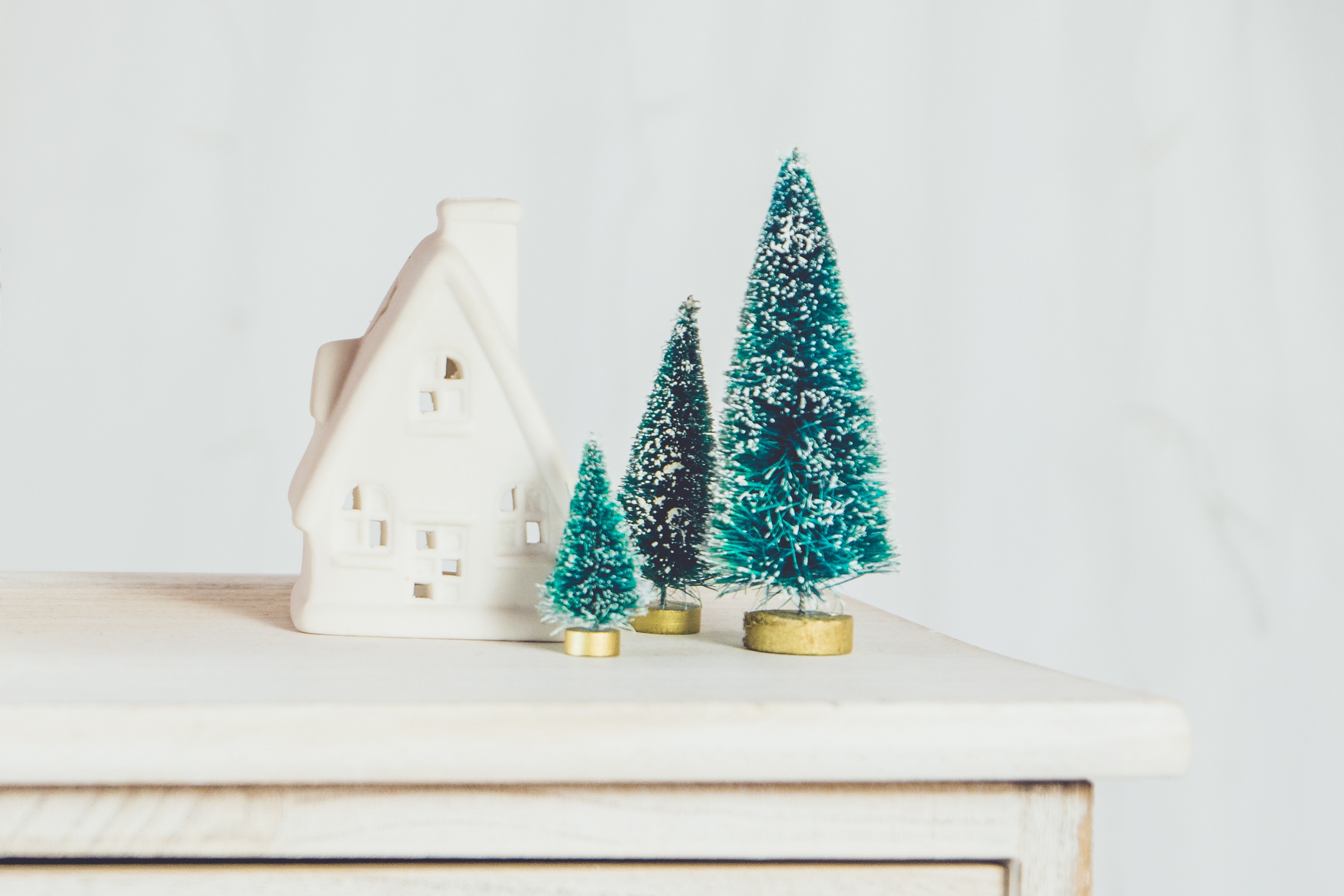 Miniature White House and Christmas Trees