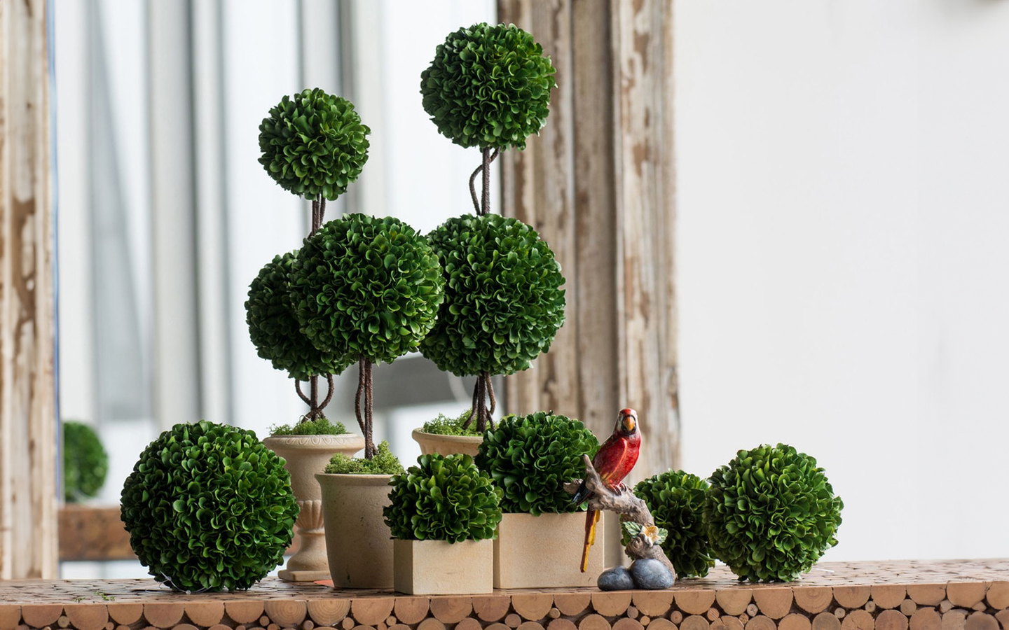 collection of boxwood topiaries on tabletop