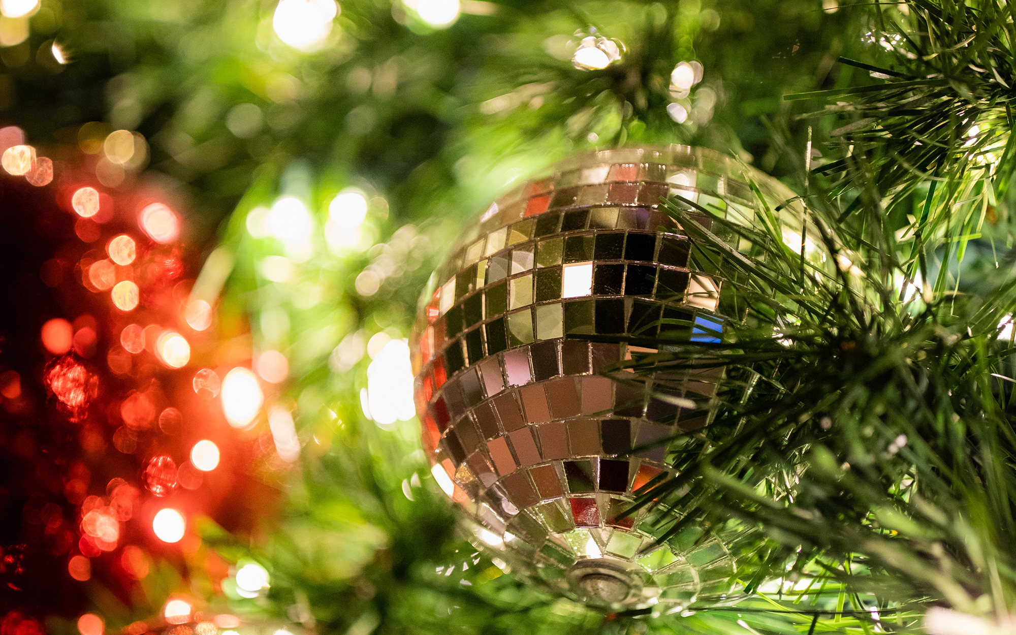 close up of shiny disco ball in Christmas tree