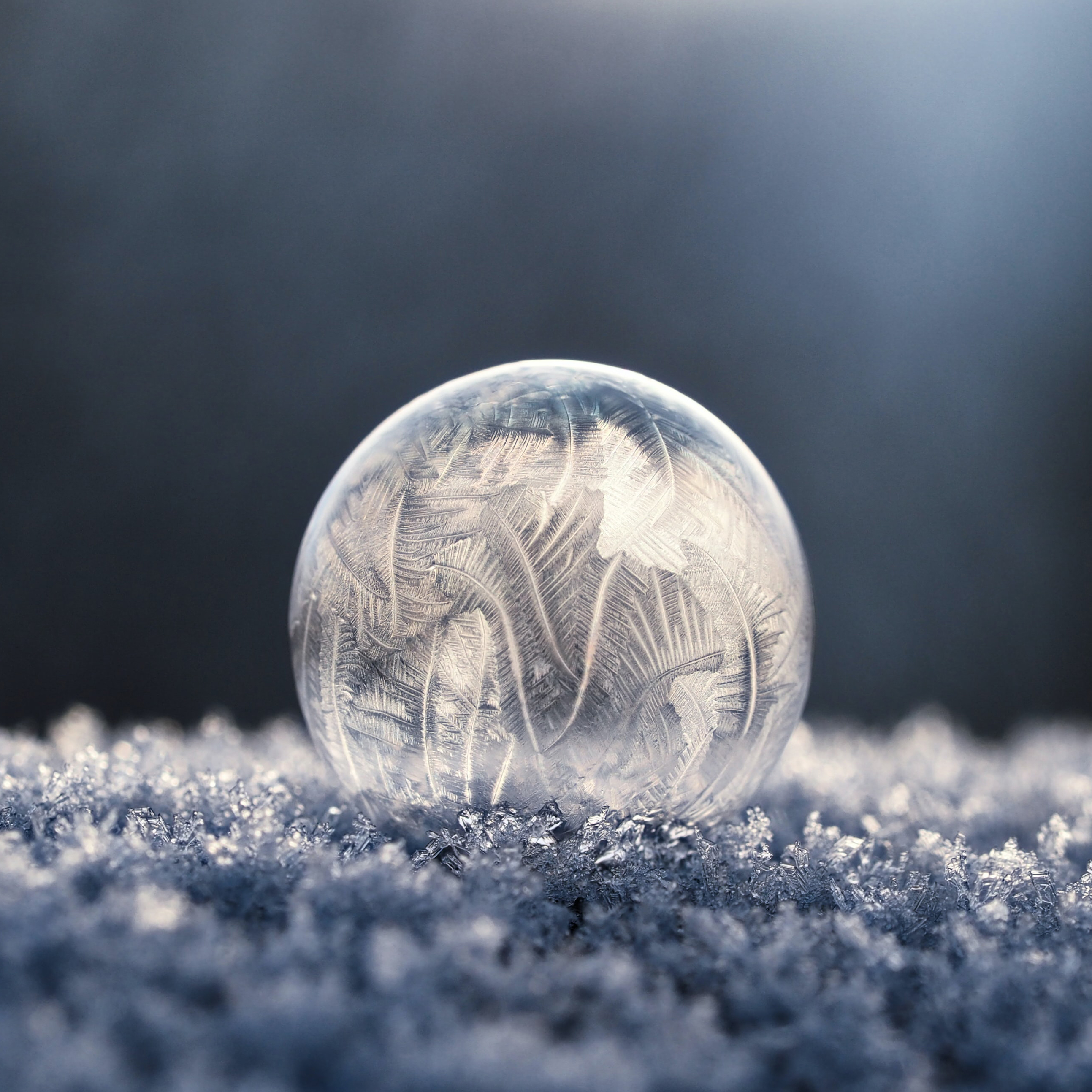 close up photo of frozen soap bubble
