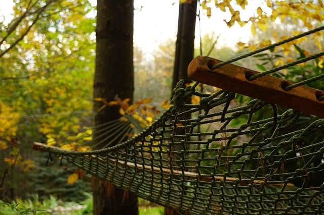 hammock in shade