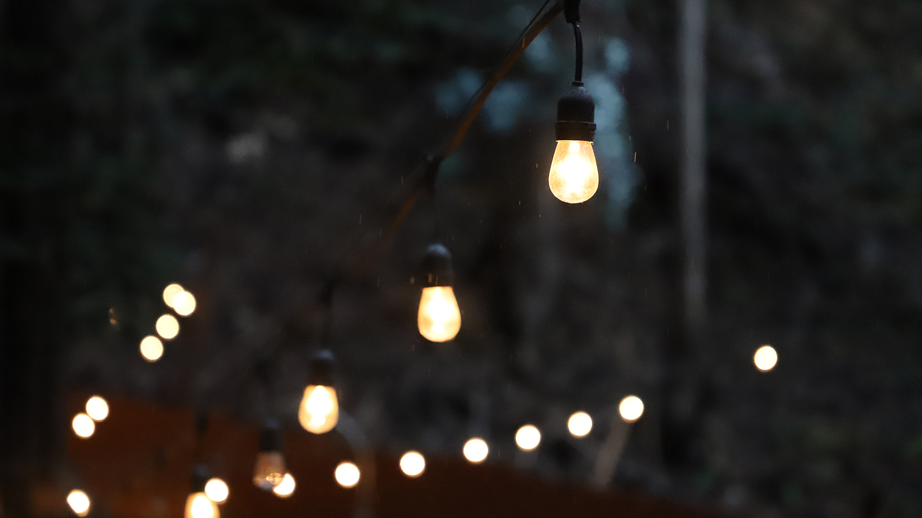 Strings of Edison lights strung from trees lighting a yard at night