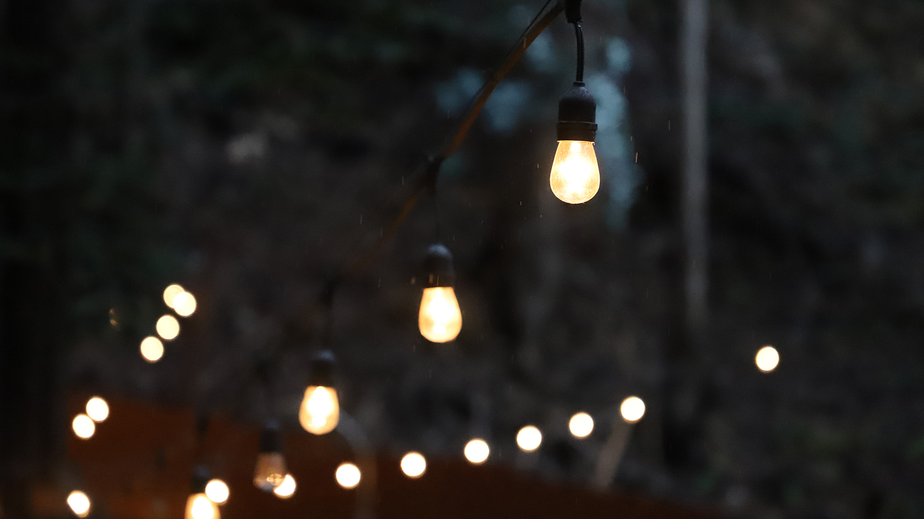Strings of Edison lights strung from trees lighting a yard at night