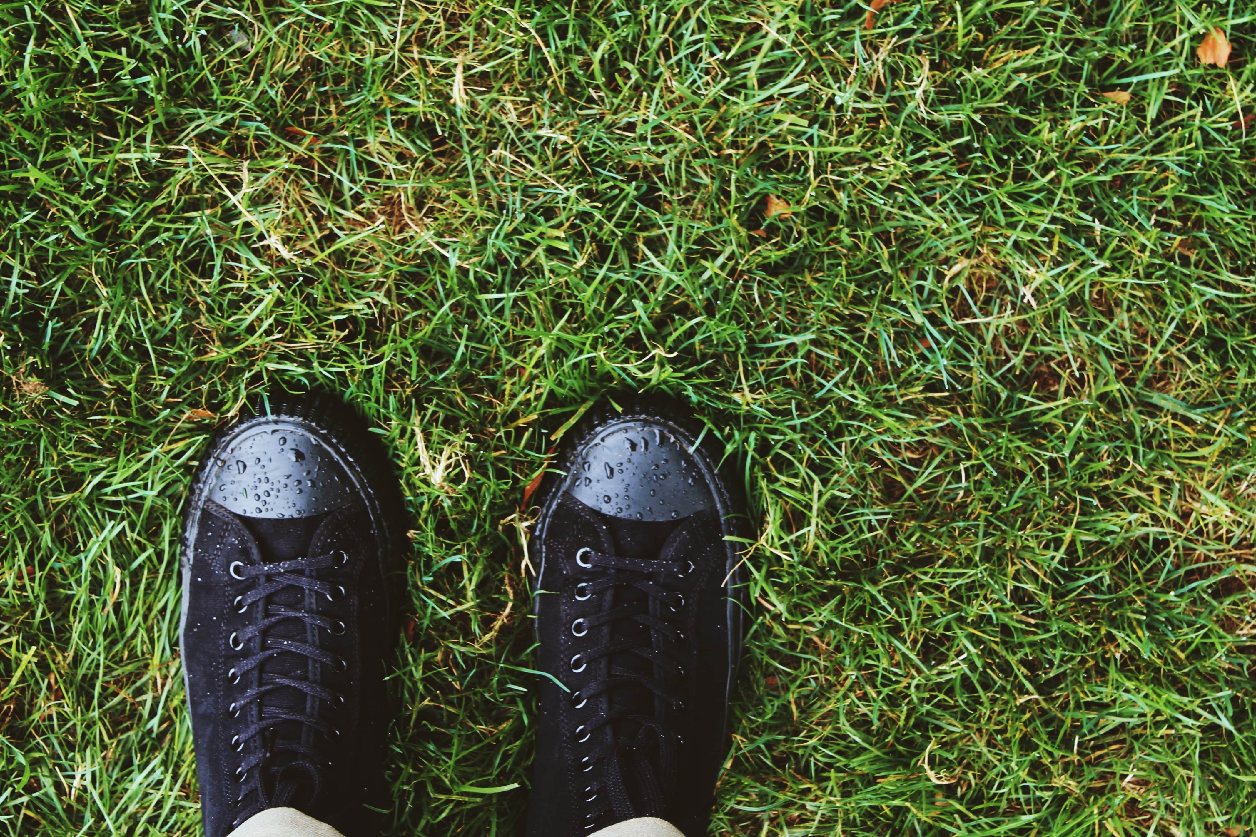 pair of black shoes on a grass lawn
