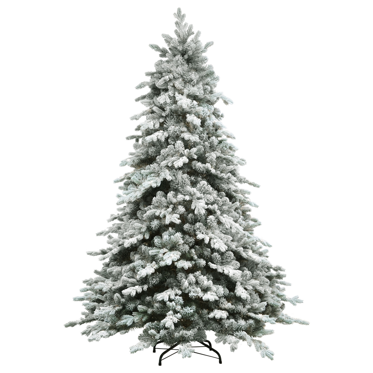 Saratoge Spruce Christmas Trees
