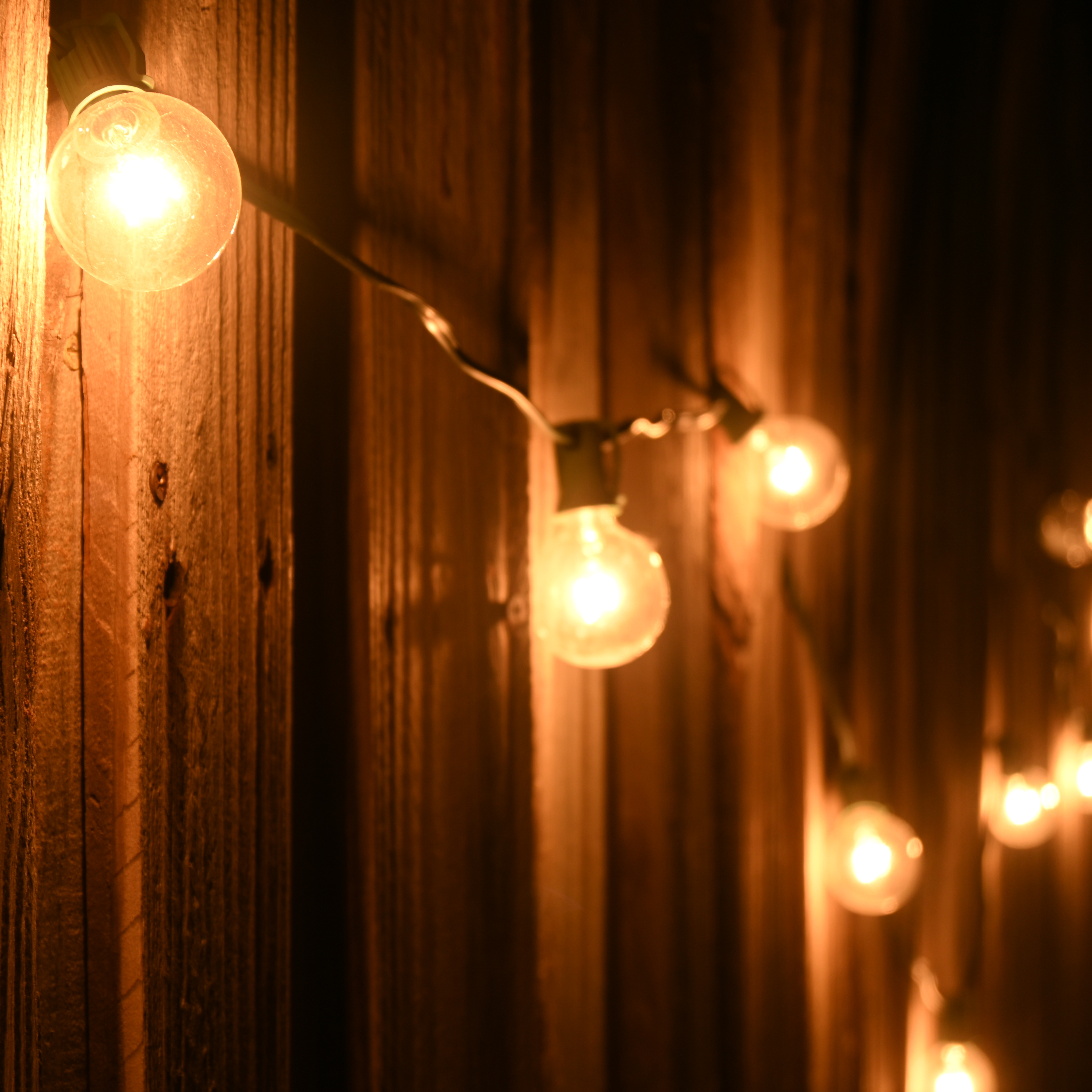 warm white globe lights on wooden fence at night