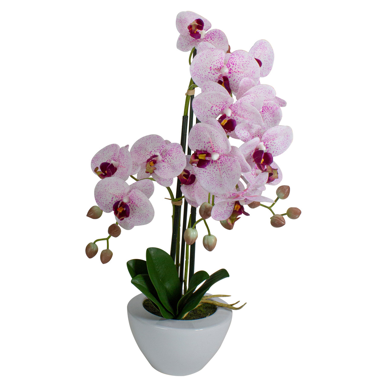 pink and white artificial orchid plant