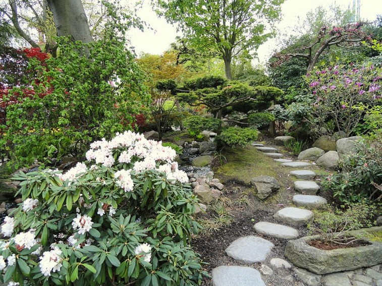 garden with stepping stones path