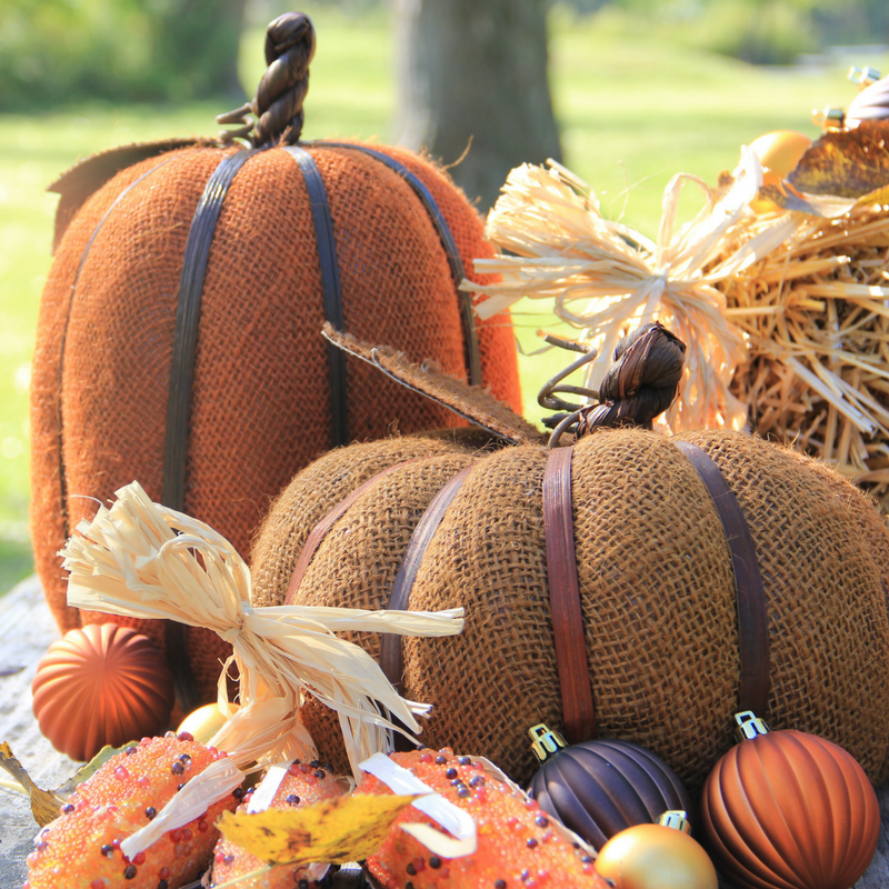 Multiple Pumpkins on Display Outdoors