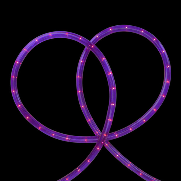 purple rope lights