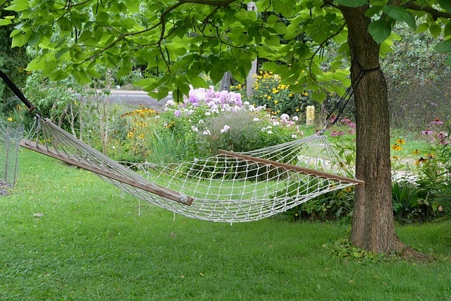 hammock next to garden
