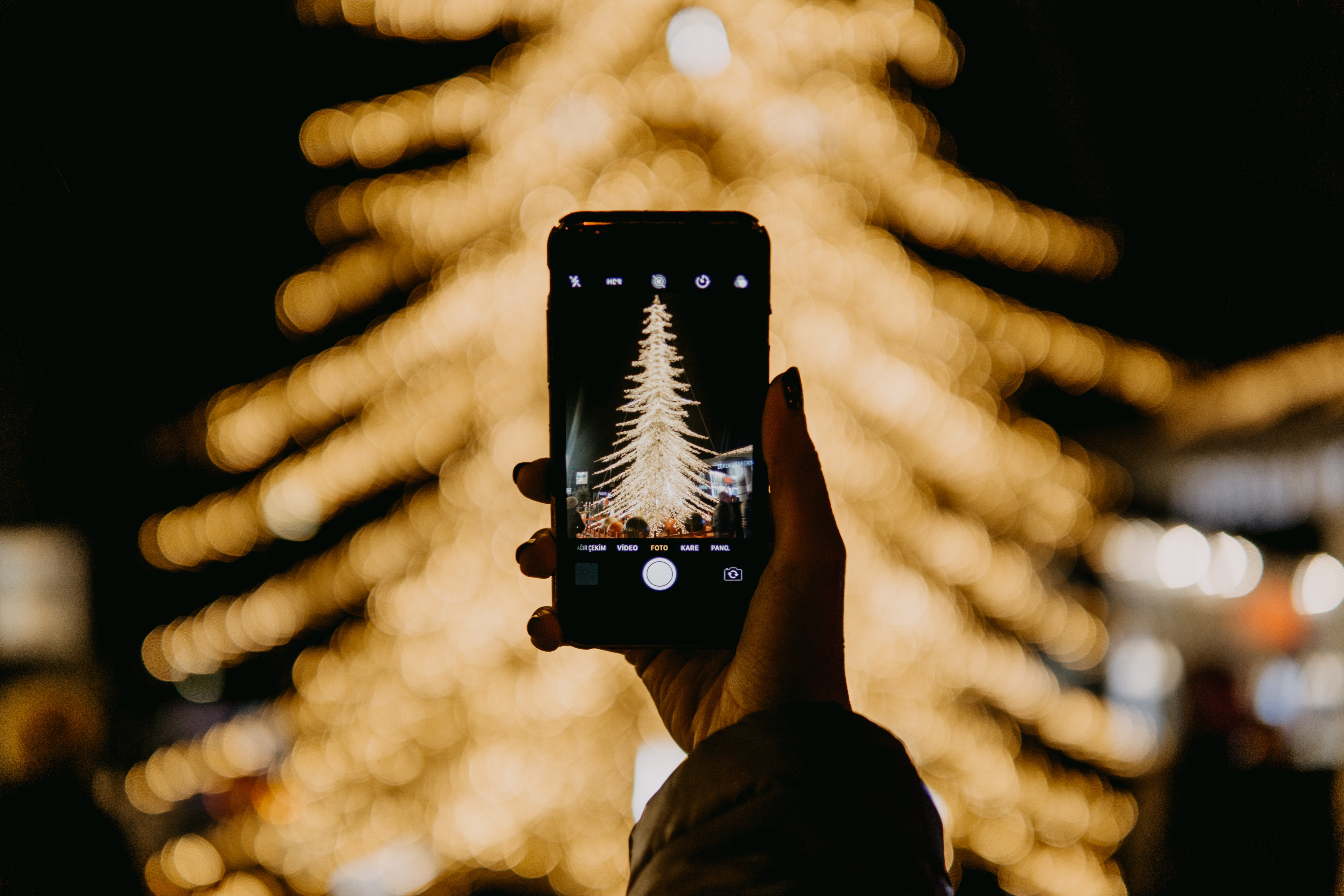 Taking Photo of Christmas Tree With Cell Phone