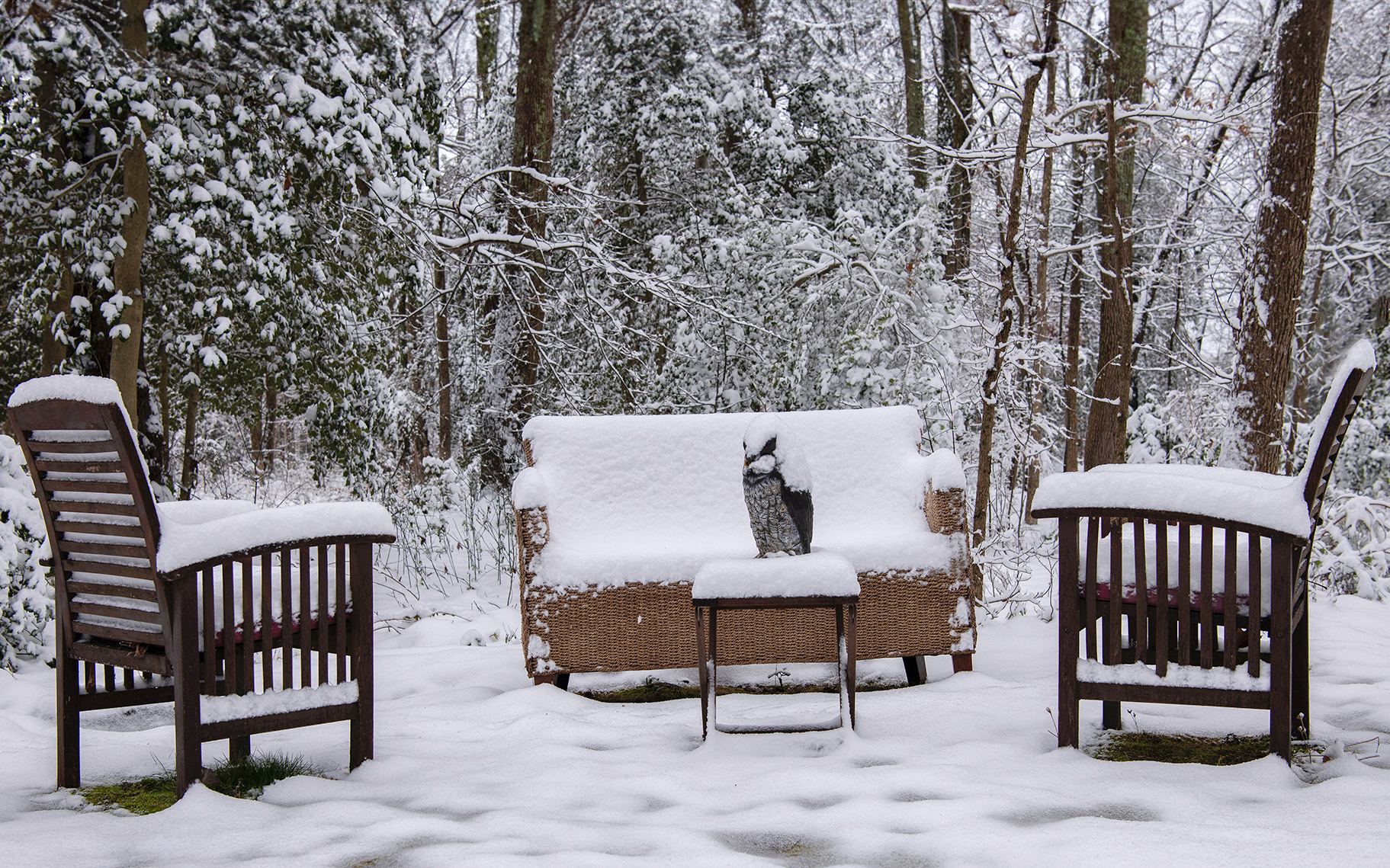 snow covered wooden and wicker furniture in backyard setting