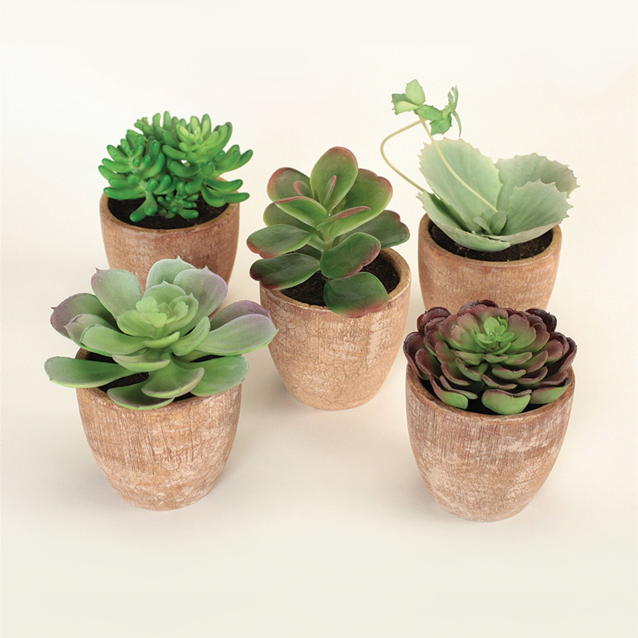 set of five artificial succulents in terracotta pots
