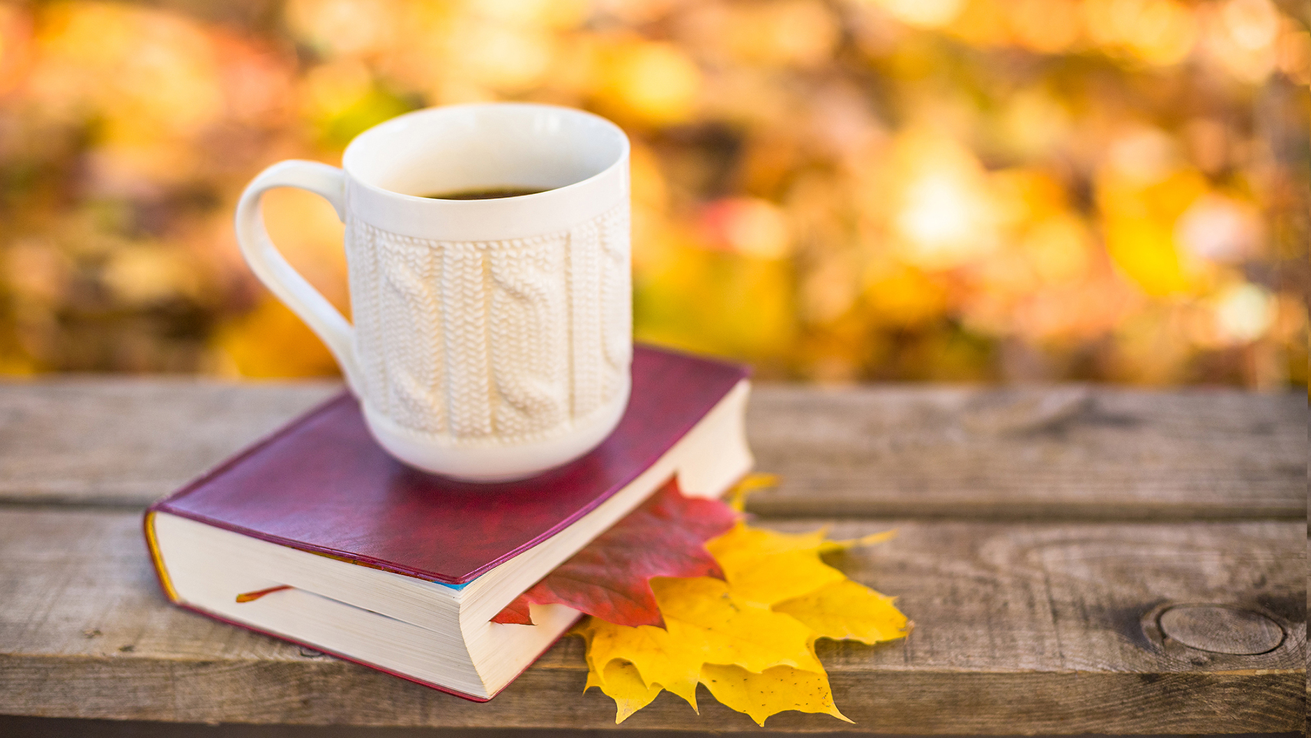 cozy fall tableau with hot drink in mug on red leather book with yellow leaves