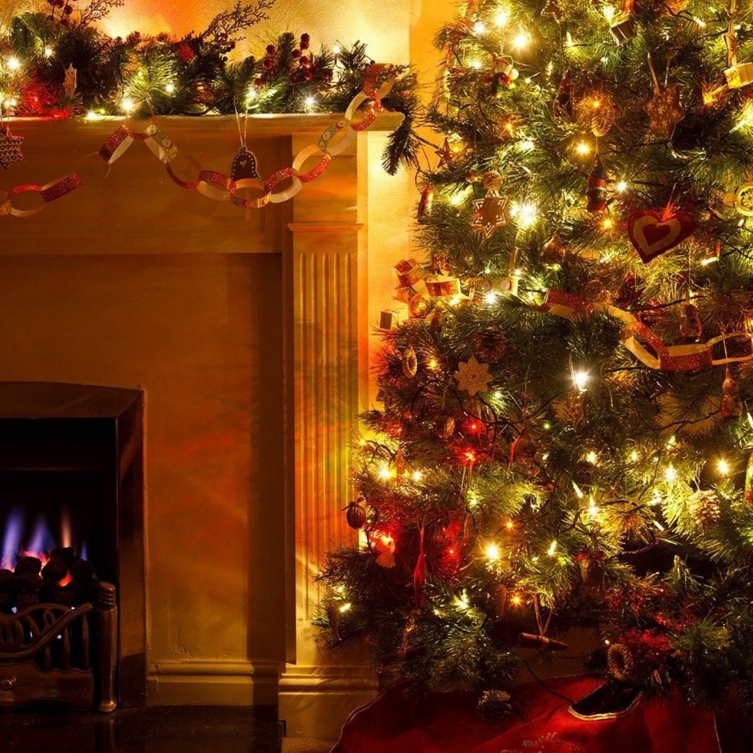 Setting Up Your Christmas Tree