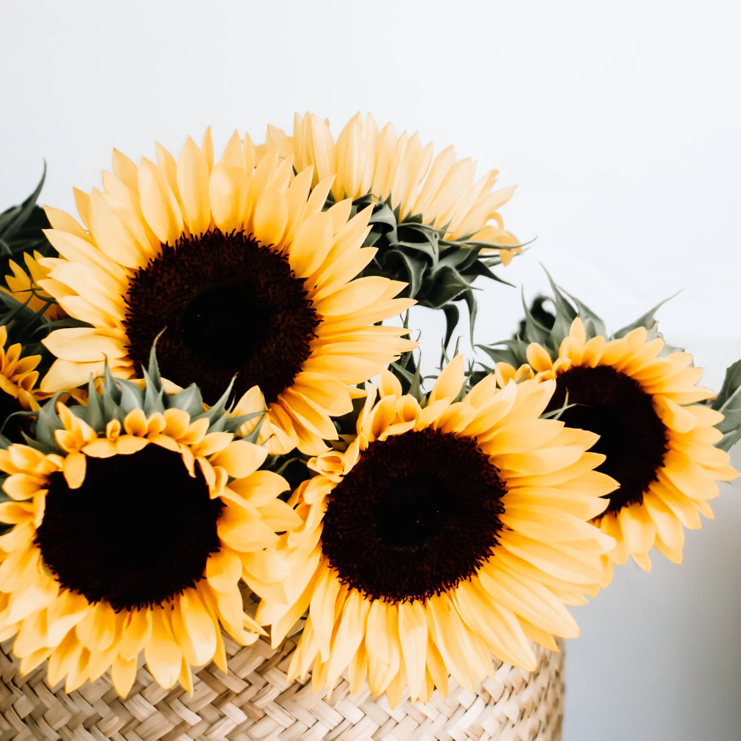 How to Transition Your Late Summer Decor with Subtle Hints of Autumn